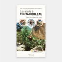 Escalade à Fontainebleau