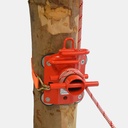 Tree Runner