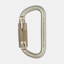 Steel Equal D Locksafe Gold