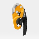 Rig Jaune