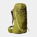 Terra 55 Forest Olive / New Taupe