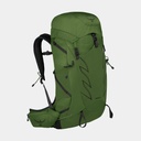 Talon 33 (2024) Green Belt / Black
