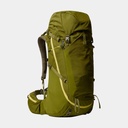 Terra 55 Forest Olive / New Taupe (NPF)