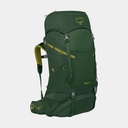 Ace 50 Green Canopy Matcha Green