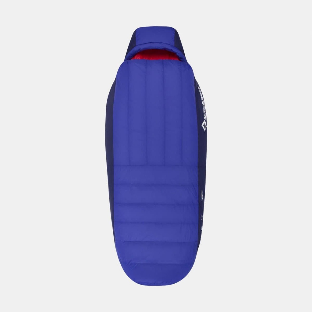 Amplitude AmII Royal / Indigo