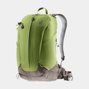 AC Lite 17 (2024) Meadow / Pepper